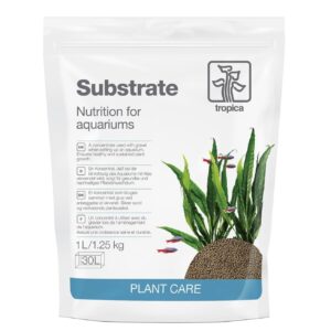 TropicaLSubstrate